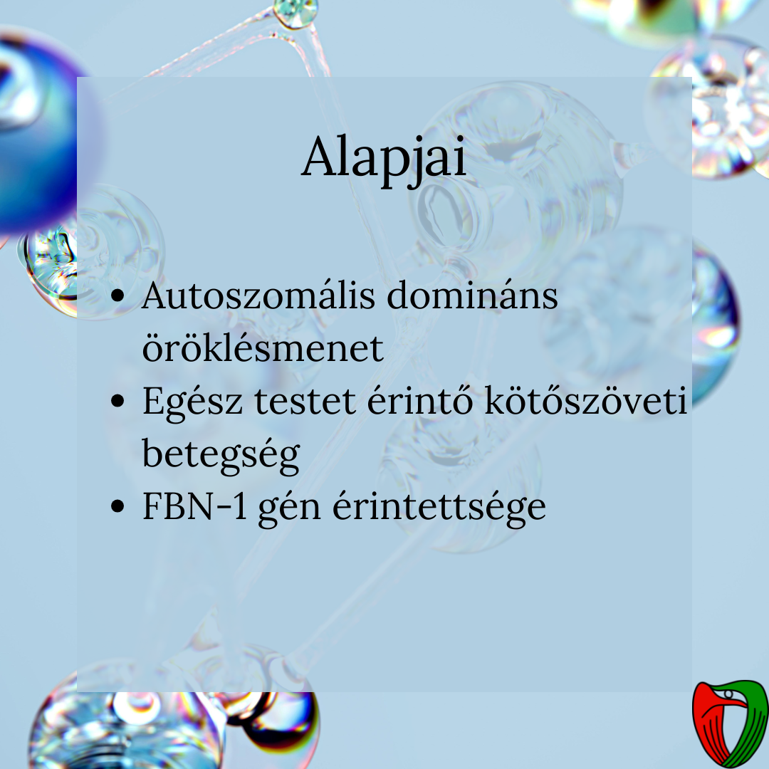 A Marfan-szindr�ma egy ritka genetikai, k�t�sz�veti betegs�g. Kialakul�s�ban a fibrillin-1 (FBN-1) g�n k�ros �rintetts�ge j�tszik k�zponti szerepet.
