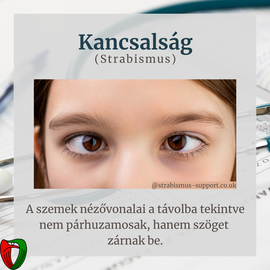 �nvizsg�lat mellett elengedhetetlen a szakorvosi vizsg�lat, mely a Marfan Ambulanci�n t�rt�nik!