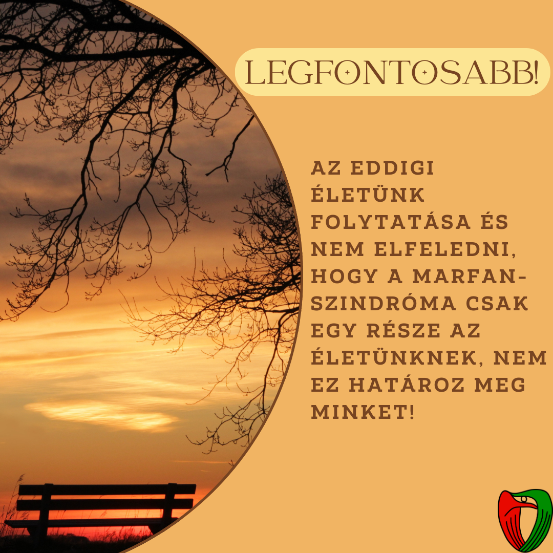 Legfontosabb m�gis, hogy eml�kezz�nk;
a Marfan-szindr�ma csak egy r�sze az �let�nknek, nem ez hat�roz meg minket!