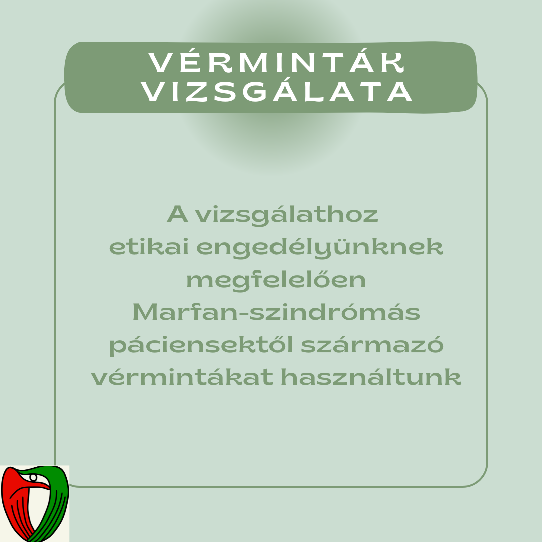 A vizsg�lathoz etikai enged�ly�nknek megfelel�en Marfan-szindr�m�s p�ciensekt�l sz�rmaz� v�rmint�kat gy�jt�tt�nk.