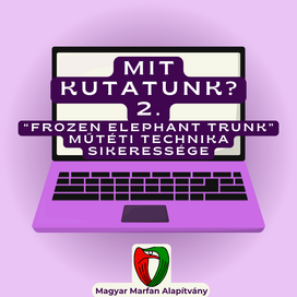 Mit kutatunk? II.
