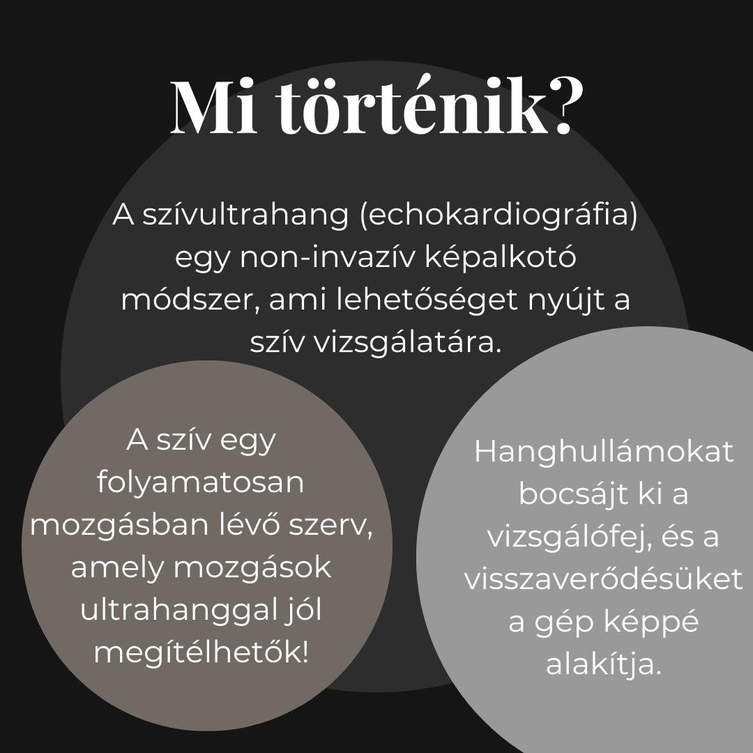  A sz�v egy folyamatosan mozg�sban l�v� szerv, amely mozg�sok ultrahanggal j�l meg�t�lhet�k! Hanghull�mokat bocs�t ki a vizsg�l�fej, �s a sz�vetekr�l val� - k�l�nb�z� m�rt�k� - visszaver�d�s�ket a sz�m�t�g�p val�s idej� k�pp� alak�tja.