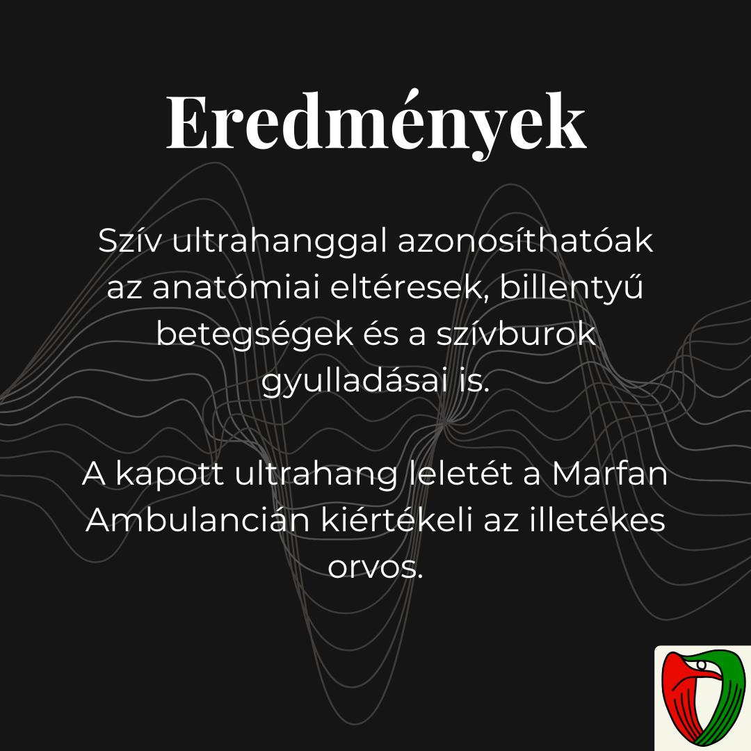 Sz�v ultrahanggal azonos�that�k az anat�miai elt�resek, billenty� betegs�gek �s a sz�vburok gyullad�sai is.
A kapott ultrahang lelet�t a Marfan Ambulanci�n ki�rt�keli az illet�kes orvos.