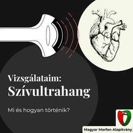 Vizsg�lataim: Sz�vultrahang