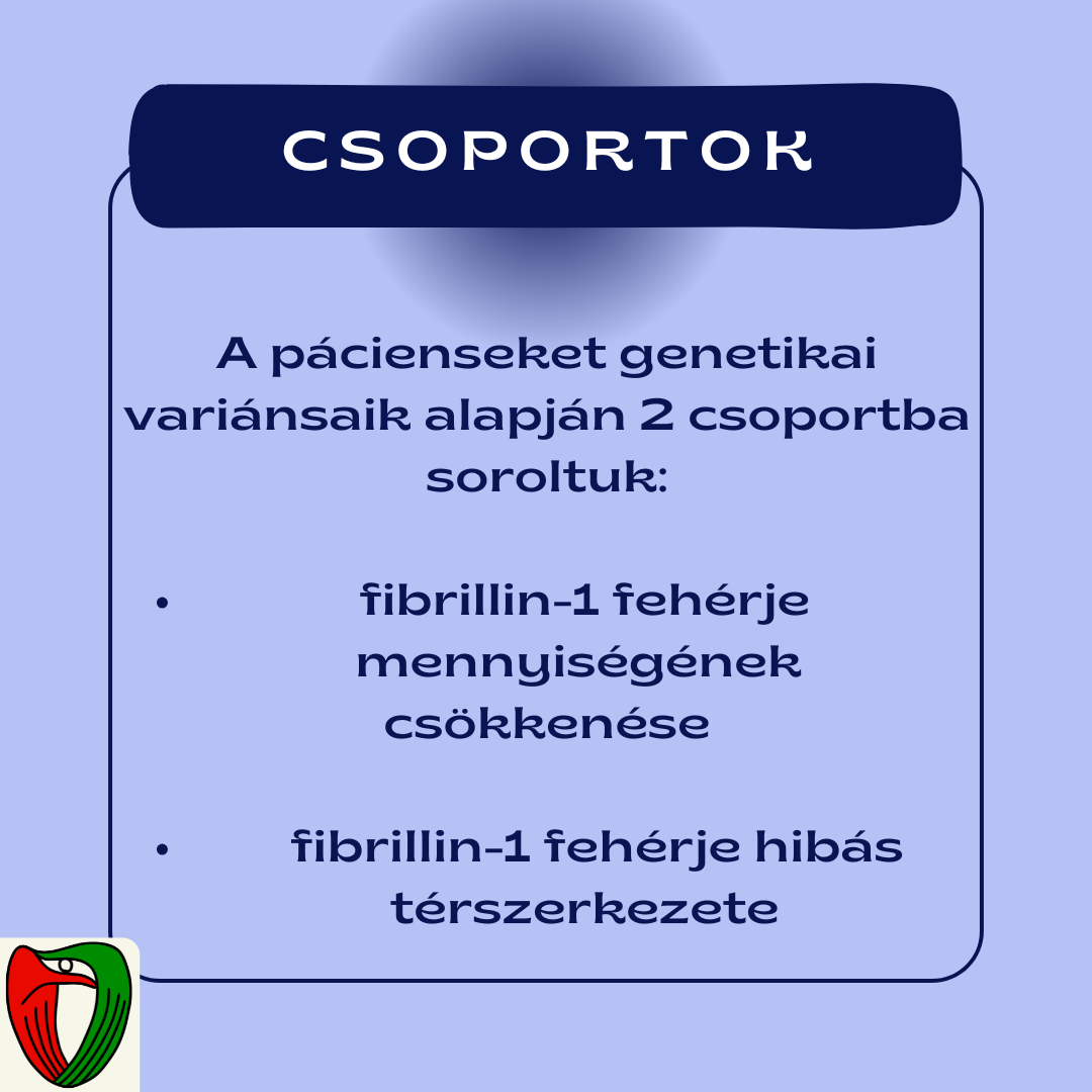  A p�cienseket genetikai elt�r�s�k alapj�n 2 csoportba soroltuk: (1) fibrillin-1 feh�rje mennyis�g�nek cs�kken�se, valamint (2) a feh�rje hib�s t�rszerkezete.