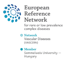 European Reference Network for rare or low prevalence complex diseases - Vascular Diseases Network (VASCERN)